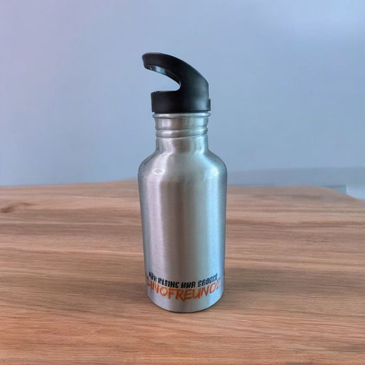 Aluminium-Trinkflasche mit Dino-Motiv – Spülmaschinenfest & Handgemacht